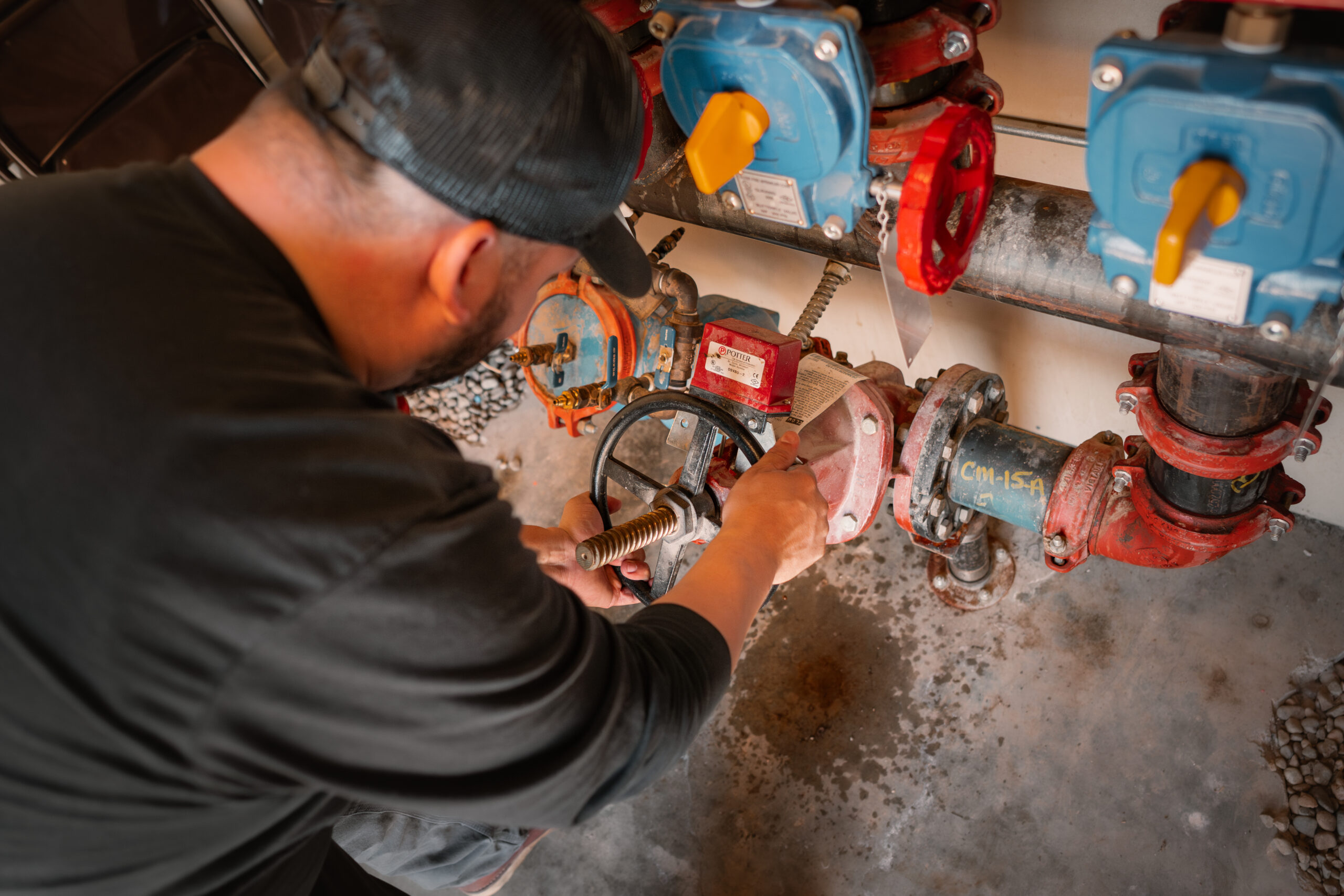 fire sprinkler inspection